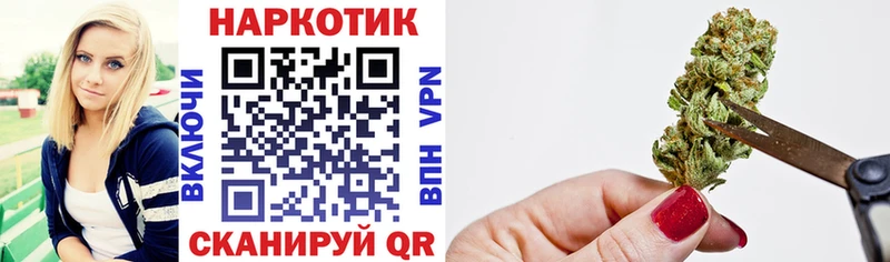 Купить закладку Кокаин  Каннабис  Меф  Псилоцибиновые грибы  Гашиш  Каргополь