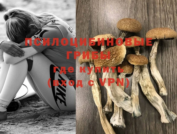 прущий лед Дмитров