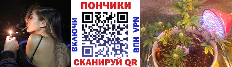 Купить где  Каргополь  Бошки марихуана марихуана 